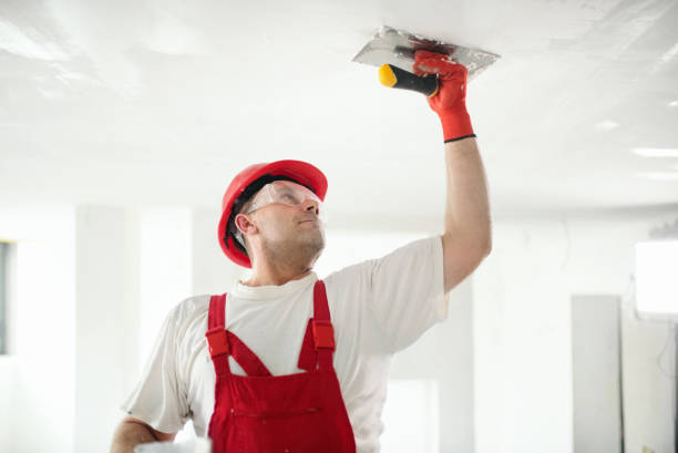  Rib Mountain, WI Drywall & Painting Services Pros